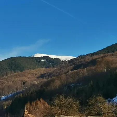 Casuta Cu Sindrila * Dragoslavele